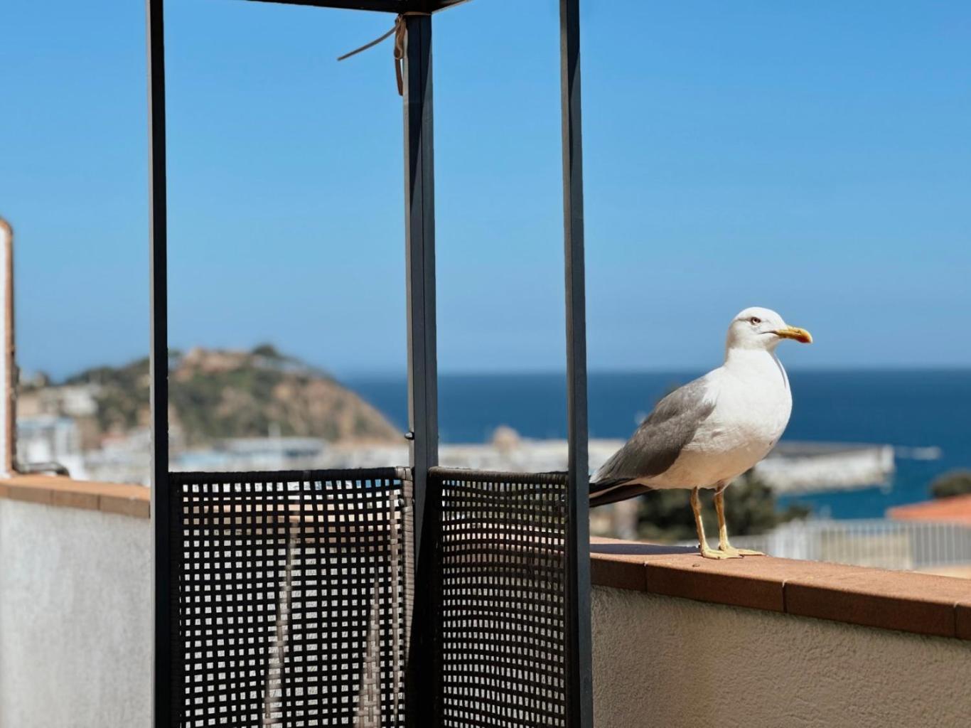 Atico Con Vistas Al Mar A Un Paso Del Centro Apartment Blanes Exterior photo